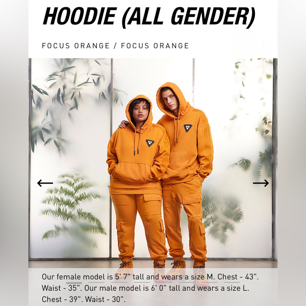 IVY PARK - PARK TRAIL HOODIE (NEWEST DROP)